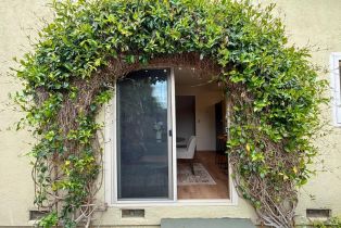 Single Family Residence, Temelec drive, Sonoma, CA 95476 - 9