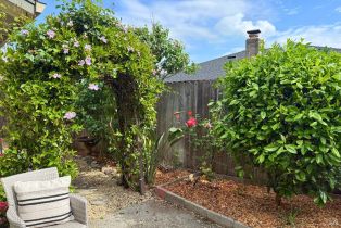 Single Family Residence, Temelec drive, Sonoma, CA 95476 - 19