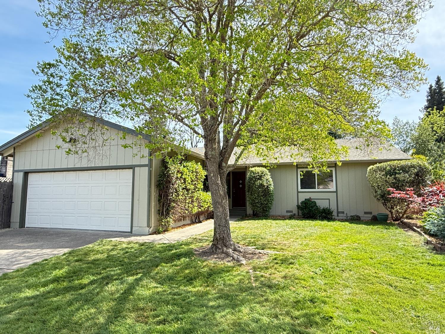 Single Family Residence, Temelec drive, Sonoma, CA 95476 - 1