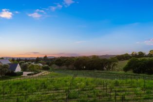 Single Family Residence, Kirkland avenue, Napa, CA 94558 - 57