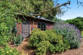 Single Family Residence, Kirkland avenue, Napa, CA 94558 - 42