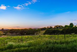 Single Family Residence, Kirkland avenue, Napa, CA 94558 - 56