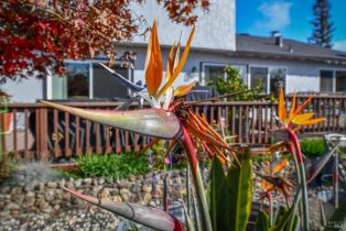 Single Family Residence,  Via La Paz none, Napa, CA 94558 - 34