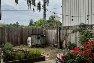 Single Family Residence, B Mason street, Healdsburg, CA 95448 - 9
