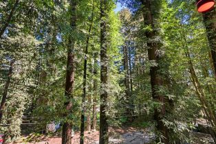 Single Family Residence, Willow road, Russian River, CA 95446 - 75