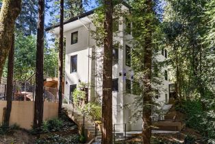 Single Family Residence, Willow road, Russian River, CA 95446 - 9