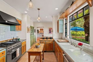 Single Family Residence,  Fitch Mountain road, Healdsburg, CA 95448 - 15