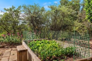 Single Family Residence,  Fitch Mountain road, Healdsburg, CA 95448 - 47