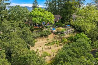 Single Family Residence,  Fitch Mountain road, Healdsburg, CA 95448 - 49