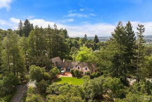Single Family Residence,  Fitch Mountain road, Healdsburg, CA 95448 - 70