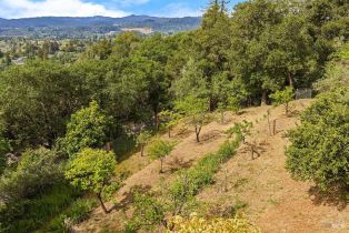 Single Family Residence,  Fitch Mountain road, Healdsburg, CA 95448 - 67