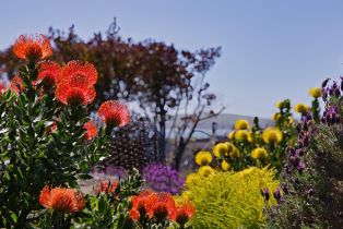 Single Family Residence,  Poppy court, Bodega Bay, CA 94923 - 31