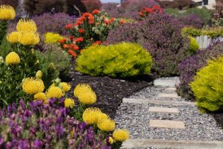 Single Family Residence,  Poppy court, Bodega Bay, CA 94923 - 30