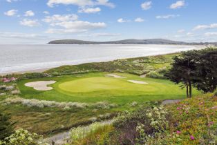 Single Family Residence, Condor court, Bodega Bay, CA 94923 - 62