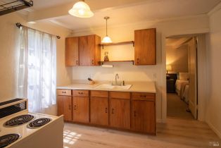 Single Family Residence, Rio Vista terrace, Russian River, CA 95462 - 20
