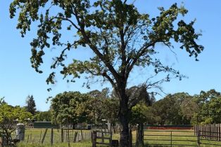 Single Family Residence,  Wright road, Santa Rosa, CA 95407 - 21