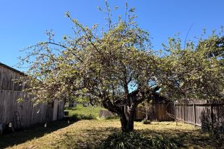 Single Family Residence,  Wright road, Santa Rosa, CA 95407 - 8