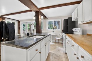 Single Family Residence,  Old Monte Rio road, Russian River, CA 95446 - 30