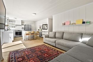 Single Family Residence,  Lovers lane, Russian River, CA 95446 - 10