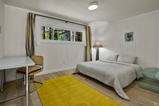 Single Family Residence,  Lovers lane, Russian River, CA 95446 - 19