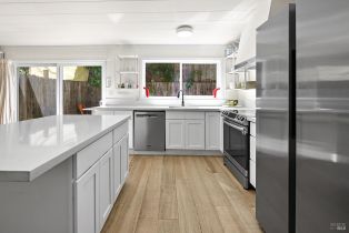 Single Family Residence,  Lovers lane, Russian River, CA 95446 - 4