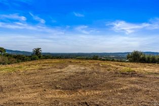 Residential Lot,  Atlas Peak road, Napa, CA 94558 - 15