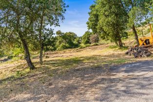 Residential Lot,  Atlas Peak road, Napa, CA 94558 - 21