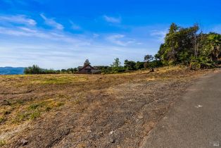 Residential Lot,  Atlas Peak road, Napa, CA 94558 - 20