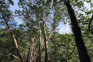 Single Family Residence,  Portofino way, Cloverdale, CA 95425 - 55