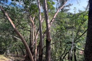 Single Family Residence,  Portofino way, Cloverdale, CA 95425 - 57