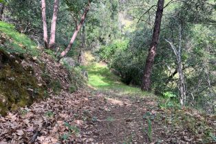 Single Family Residence,  Portofino way, Cloverdale, CA 95425 - 54