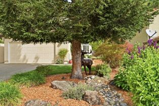 Single Family Residence,  Portofino way, Cloverdale, CA 95425 - 50