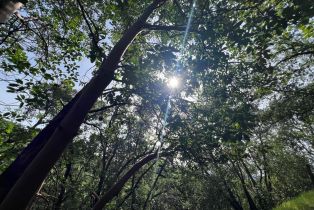 Single Family Residence,  Portofino way, Cloverdale, CA 95425 - 56