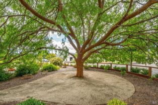 Single Family Residence, Lark avenue, Sonoma, CA 95476 - 39