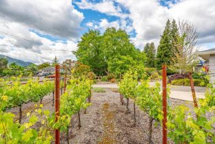 Single Family Residence, Lark avenue, Sonoma, CA 95476 - 38