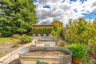 Single Family Residence, Lark avenue, Sonoma, CA 95476 - 43