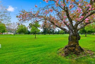 Condominium,  Fairways drive, Napa, CA 94558 - 30