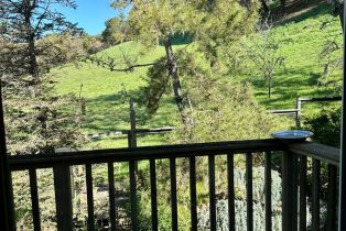 Single Family Residence, Fieldcrest drive, Healdsburg, CA 95448 - 8
