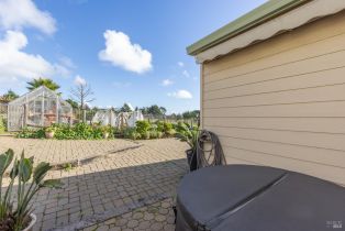 Single Family Residence,  Highway 1 none, Bodega Bay, CA 94923 - 18
