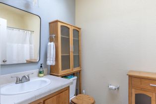 Single Family Residence,  Highway 1 none, Bodega Bay, CA 94923 - 24