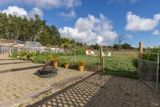 Single Family Residence,  Highway 1 none, Bodega Bay, CA 94923 - 27