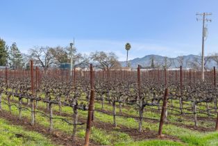 Agriculture,  Orchard avenue, Napa, CA 94558 - 3