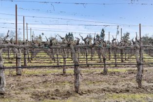 Agriculture,  Orchard avenue, Napa, CA 94558 - 9