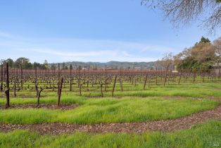 Agriculture,  Orchard avenue, Napa, CA 94558 - 6