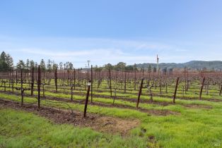 Agriculture,  Orchard avenue, Napa, CA 94558 - 5