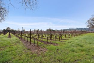 Agriculture,  Orchard avenue, Napa, CA 94558 - 8