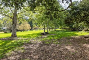 Residential Lot,  Rim Rock way, Santa Rosa, CA 95404 - 22