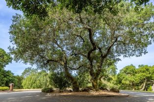 Land, Rim Rock Way, CA  , CA 95404