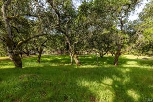Residential Lot,  Rim Rock way, Santa Rosa, CA 95404 - 9