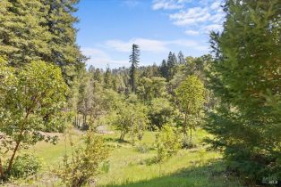 Single Family Residence, Cloud Ridge road, Healdsburg, CA 95448 - 69